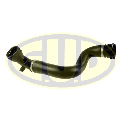 Radiator Hose (GSH319149)