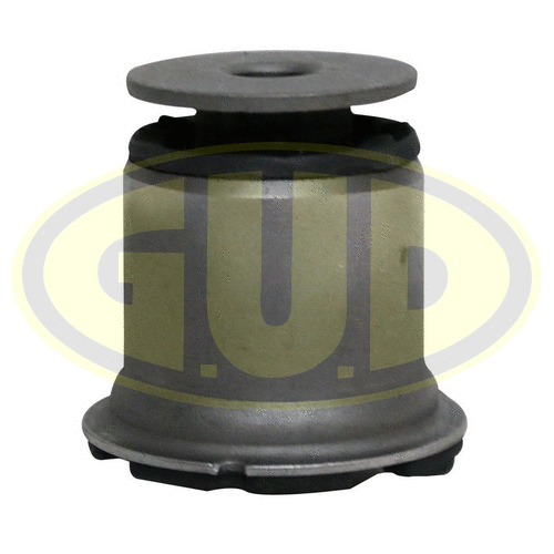 Mounting, control/trailing arm (GSP601480)