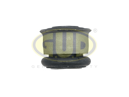 Mounting, control/trailing arm (GSP601021)