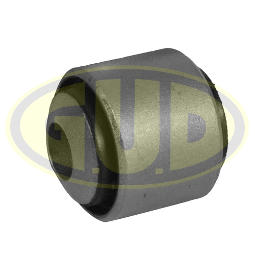 Mounting, control/trailing arm (GSP601384)