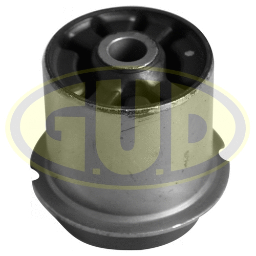 Mounting, control/trailing arm (GSP601407)