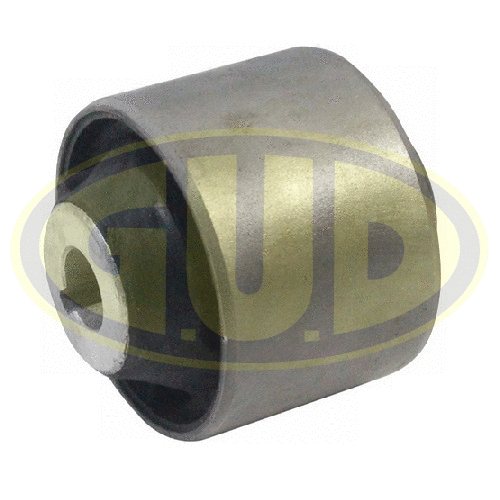 Mounting, control/trailing arm (GSP601305)