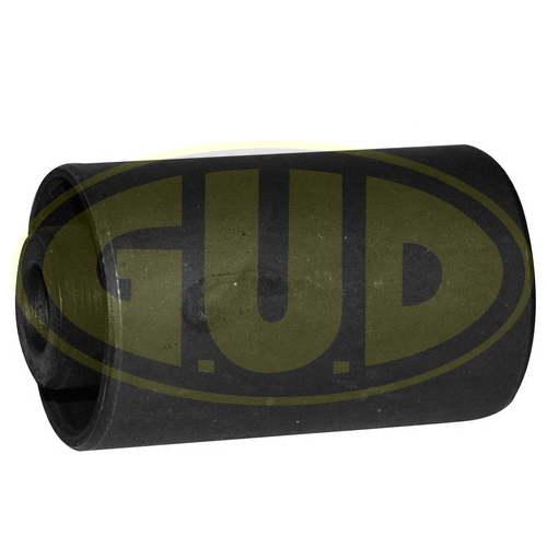 Mounting, control/trailing arm (GSP601741)