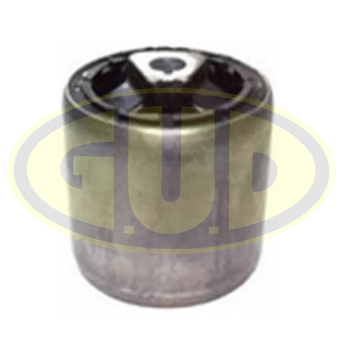 Mounting, control/trailing arm (GSP601312)