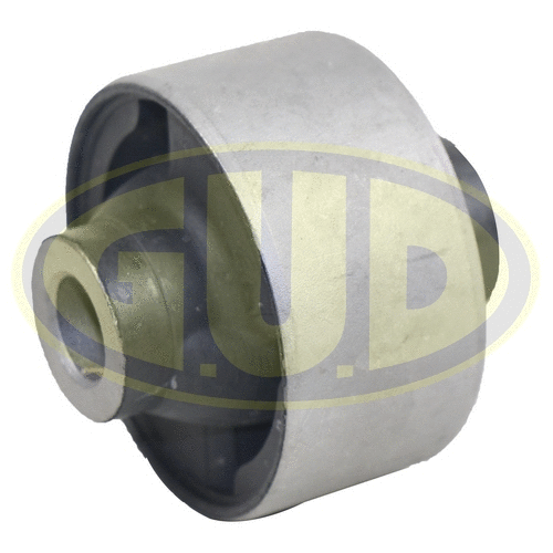 Mounting, control/trailing arm (GSP601335)