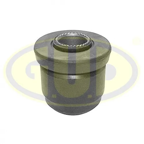 Mounting, control/trailing arm (GSP601119)