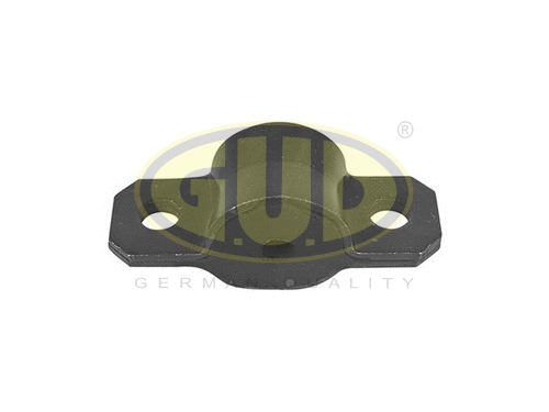Bushing, stabiliser bar (GSP001018)
