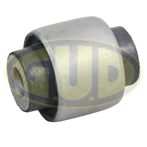 Mounting, control/trailing arm (GSP601482)