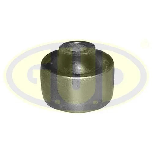 Mounting, control/trailing arm (GSP601197)