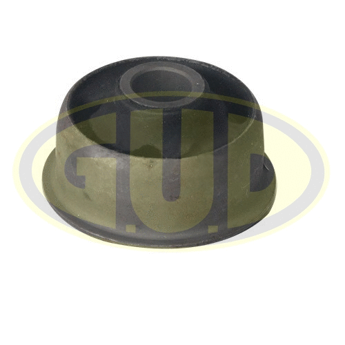 Mounting, control/trailing arm (GSP601760)