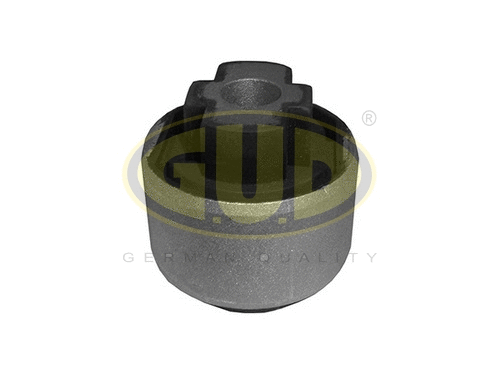 Mounting, control/trailing arm (GSP601039)