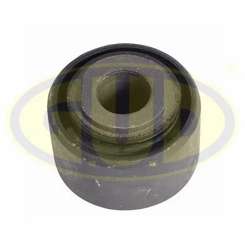 Mounting, control/trailing arm (GSP601272)