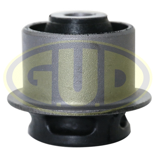 Mounting, control/trailing arm (GSP601427)