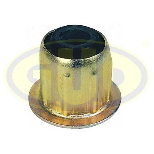 Mounting, control/trailing arm (GSP601077)