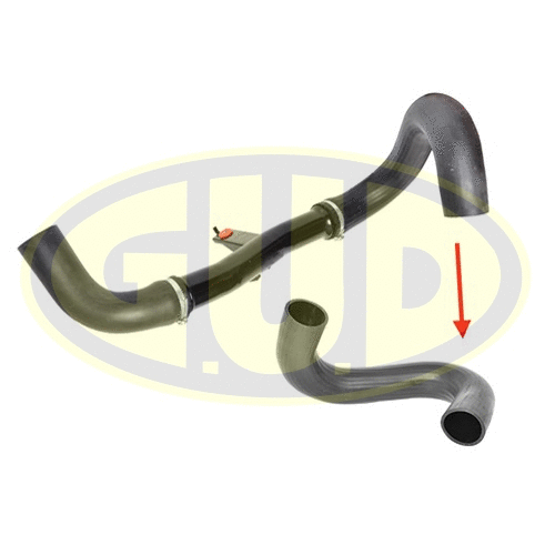 Charge Air Hose (GTH014813)