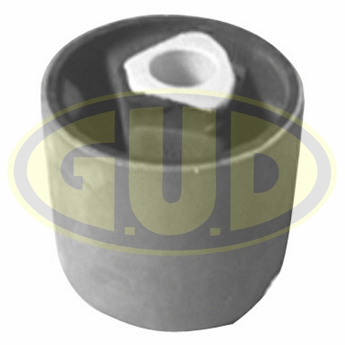 Mounting, control/trailing arm (GSP601344)