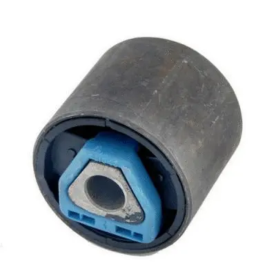 Mounting, control/trailing arm (GSP601008)