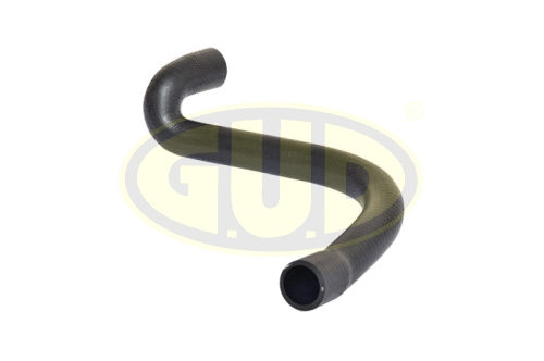 Radiator Hose (GSH027604)