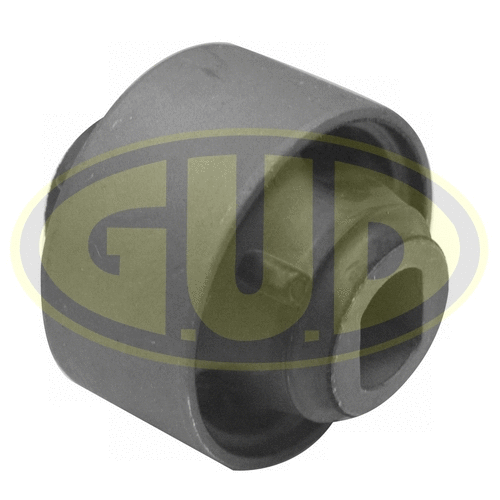 Mounting, control/trailing arm (GSP601324)