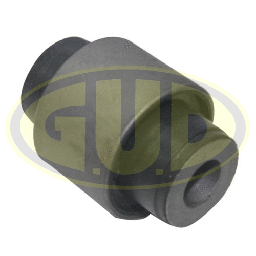 Mounting, control/trailing arm (GSP601753)