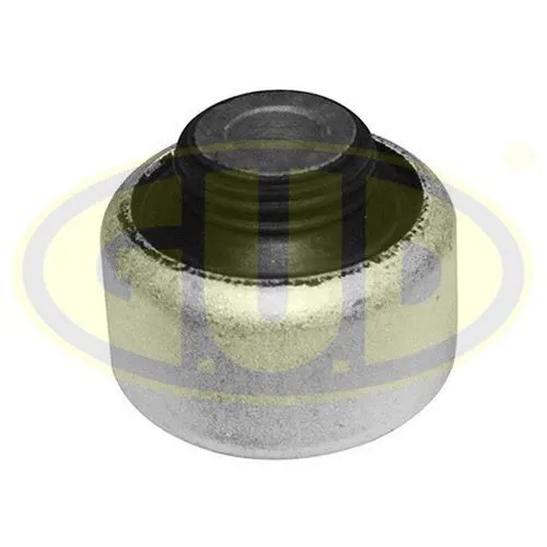 Mounting, control/trailing arm (GSP601087)