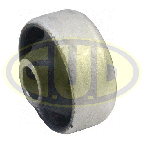Mounting, control/trailing arm (GSP601080)
