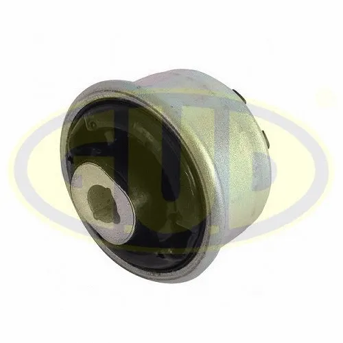 Mounting, control/trailing arm (GSP601242)