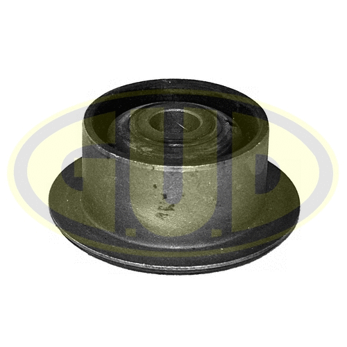 Mounting, control/trailing arm (GSP601576)