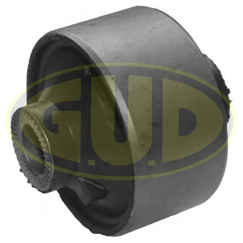 Mounting, control/trailing arm (GSP601572)