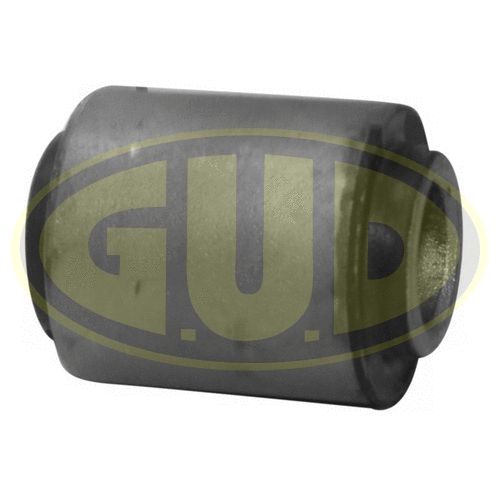 Mounting, control/trailing arm (GSP601502)