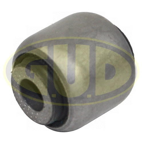 Mounting, control/trailing arm (GSP601423)