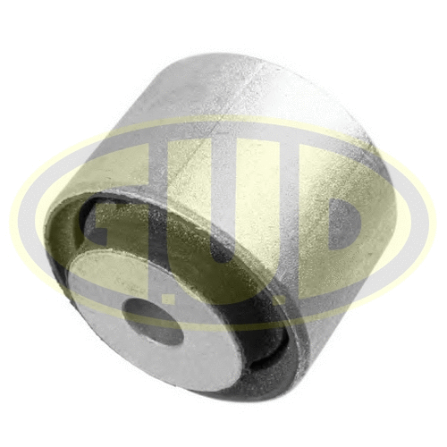 Mounting, control/trailing arm (GSP601722)