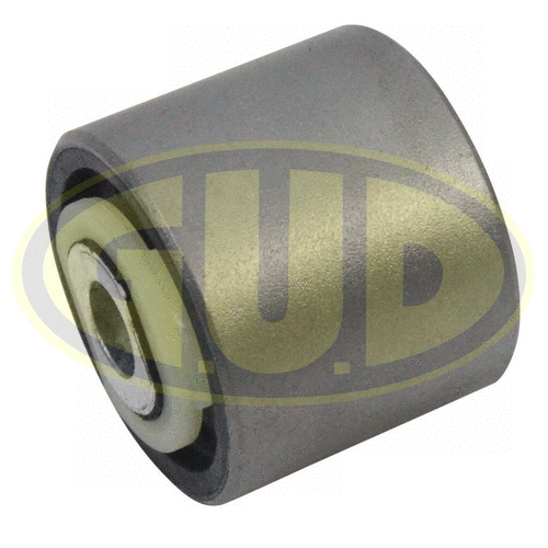 Mounting, control/trailing arm (GSP601322)