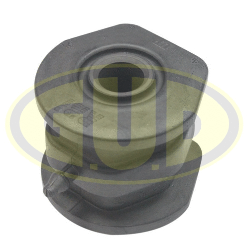 Mounting, control/trailing arm (GSP601646)