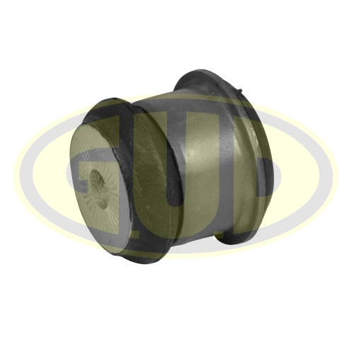 Mounting, control/trailing arm (GSP601770)