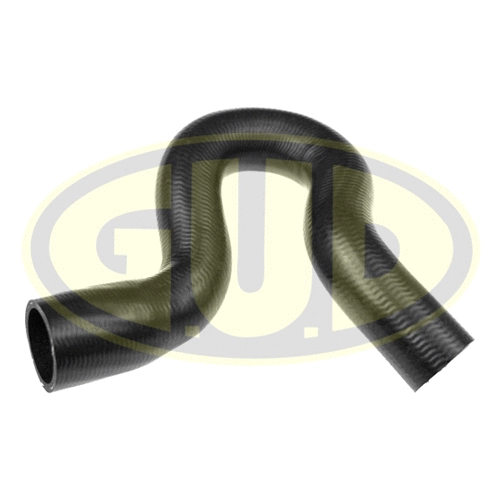 Radiator Hose (GSH315141)