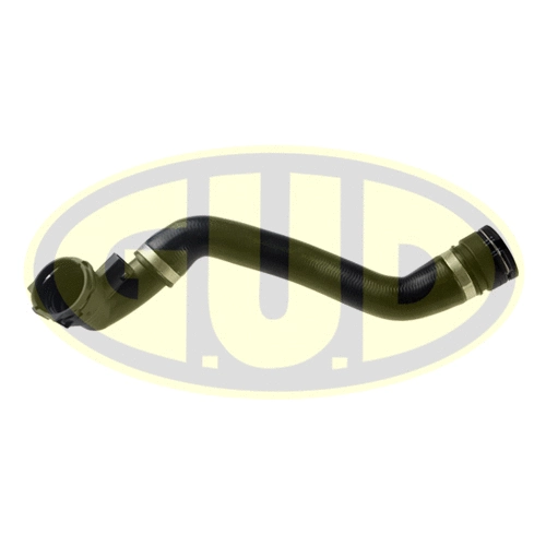 Radiator Hose (GSH319263)