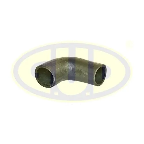 Charge Air Hose (GTH020014)