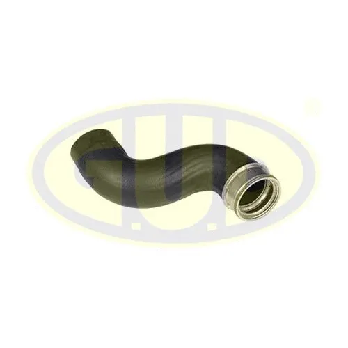 Charge Air Hose (GTH033324)