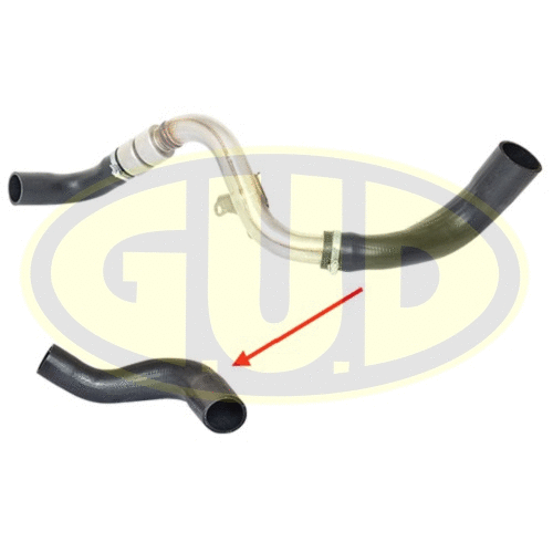 Charge Air Hose (GTH019917)