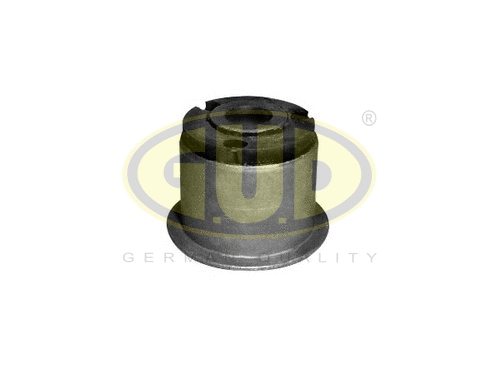 Mounting, control/trailing arm (GSP601025)