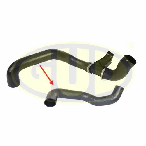 Charge Air Hose (GTH033407)