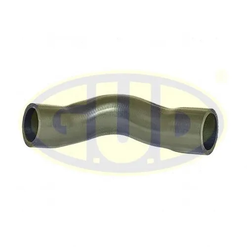 Charge Air Hose (GTH021551)