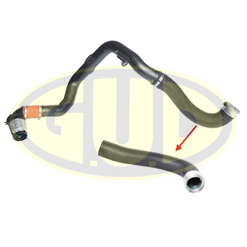 Charge Air Hose (GTH012756)