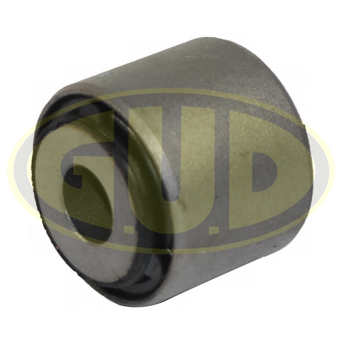 Mounting, control/trailing arm (GSP601537)