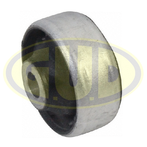 Mounting, control/trailing arm (GSP601084)