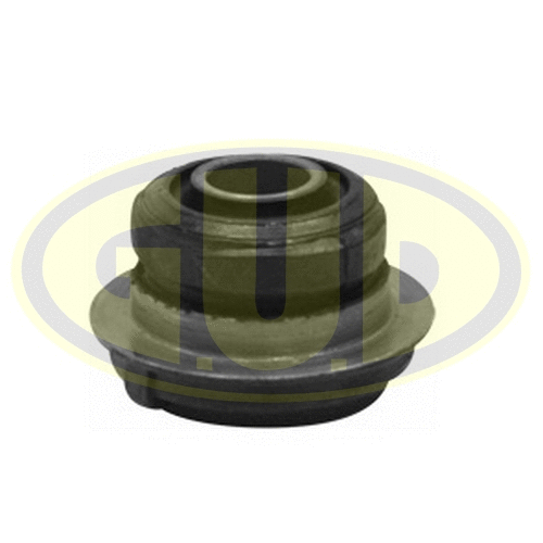Mounting, control/trailing arm (GSP601658)