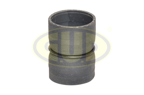 Charge Air Hose (GTH017682)