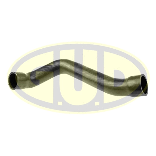 Radiator Hose (GSH319102)