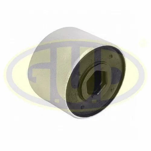 Mounting, control/trailing arm (GSP601263)